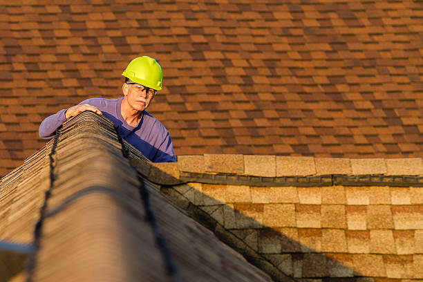 Best Roof Maintenance Services  in Streamwood, IL